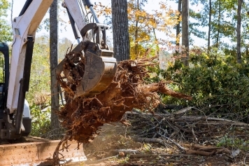 Land Clearing 101: Everything You Need to Know Before You Start main image